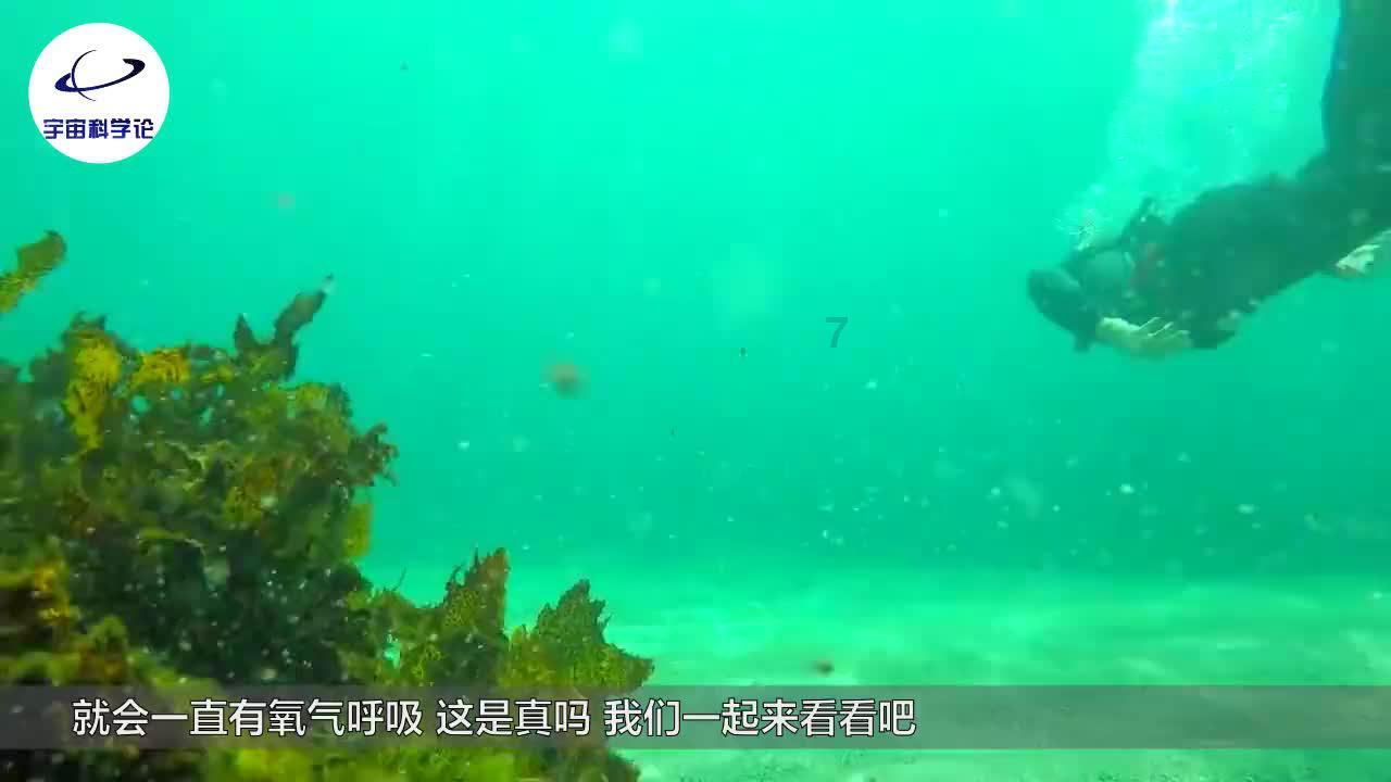 长城证券:预计2023年归母净利同比增长55%-65%